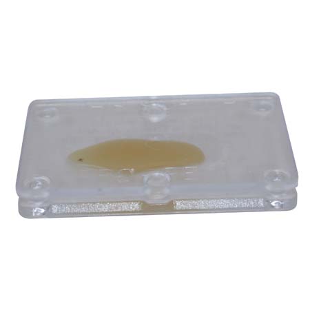 Chi ha osservato il Mod. HPR1117 RUSSELL LUREKING BED BUG - ha visitato anche il Mod. HPR1126R RUSSELL Bed Bug Monitor Trap Trappola per cimici del letto - Osd gruppo Ecotech srl